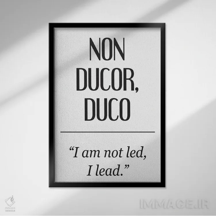 تابلو دکوراتیو معانی لاتین - نون دوکور اثر پیکسی پیپر - نمای قابدار مشکی