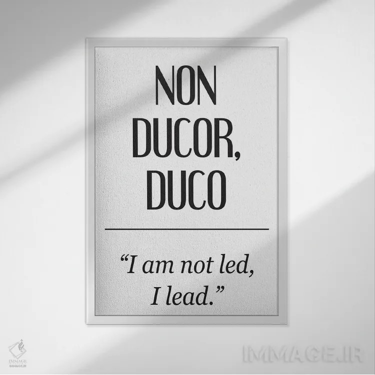 تابلو دکوراتیو معانی لاتین - نون دوکور اثر پیکسی پیپر - نمای قابدار سفید