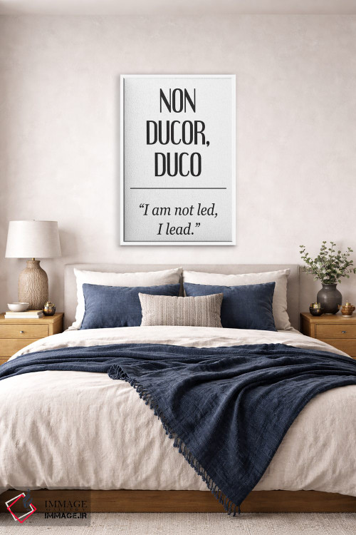 تابلو دکوراتیو معانی لاتین - نون دوکور اثر پیکسی پیپر - D6W