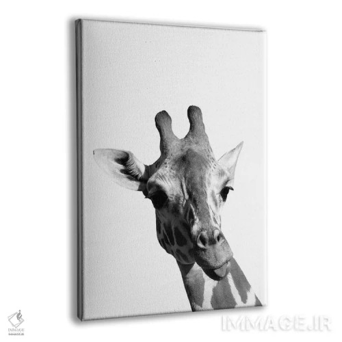 تابلو دکوراتیو زرافه تک رنگ اثر پیکسی پیپر - نمای پرسپکتیو محصول