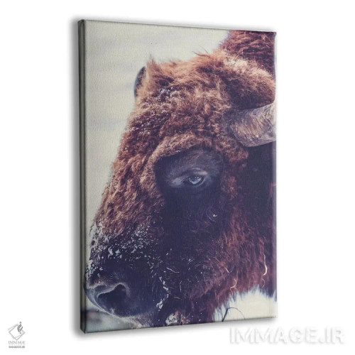 تابلو دکوراتیو گاو واقعی ۰۱ اثر پیکسی پیپر - نمای پرسپکتیو محصول