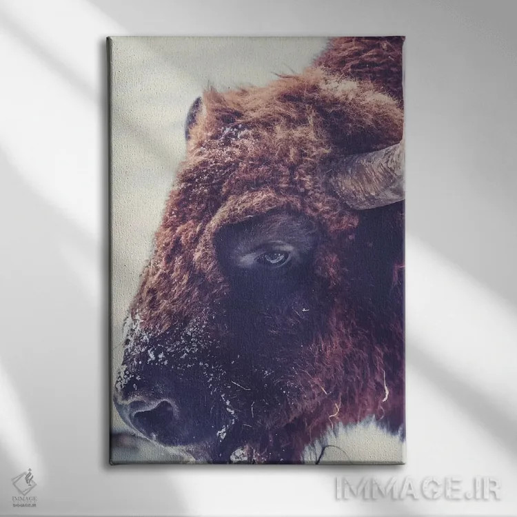تابلو دکوراتیو گاو واقعی ۰۱ اثر پیکسی پیپر - نمای روبهرو روی دیوار