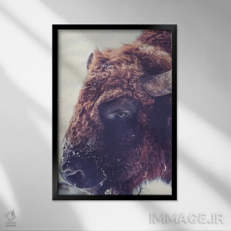 تابلو دکوراتیو گاو واقعی ۰۱ اثر پیکسی پیپر - نمای قابدار مشکی