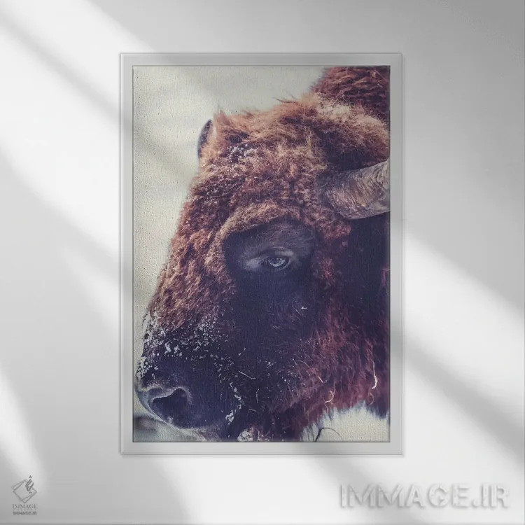 تابلو دکوراتیو گاو واقعی ۰۱ اثر پیکسی پیپر - نمای قابدار سفید