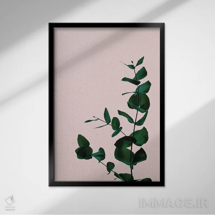 تابلو مینیمال گیاه شناسی II اثر گریس دیجیتال آرت کو - نمای قابدار مشکی