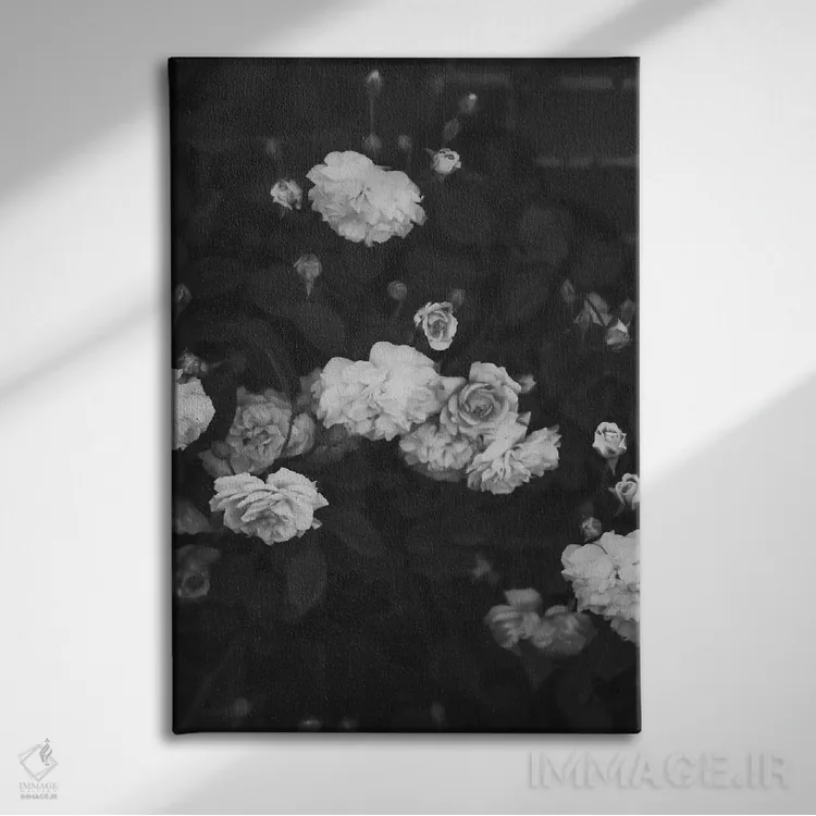 تابلو دکوراتیو رزهای سیاه و سفید اثر گریس دیجیتال آرت کو - نمای روبهرو روی دیوار