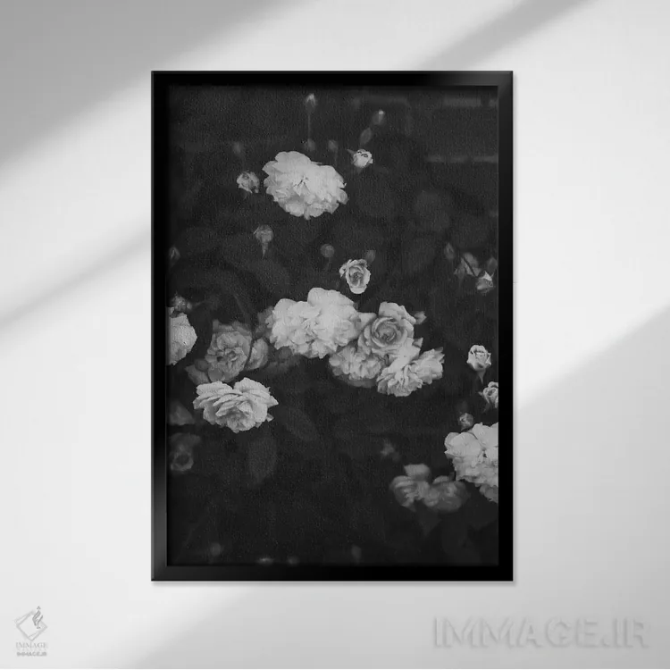 تابلو دکوراتیو رزهای سیاه و سفید اثر گریس دیجیتال آرت کو - نمای قابدار مشکی