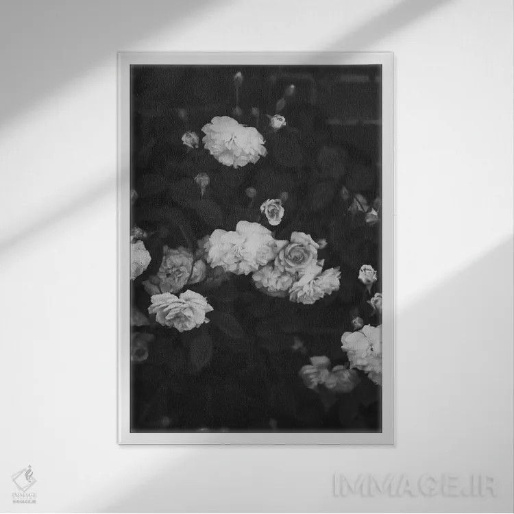 تابلو دکوراتیو رزهای سیاه و سفید اثر گریس دیجیتال آرت کو - نمای قابدار سفید