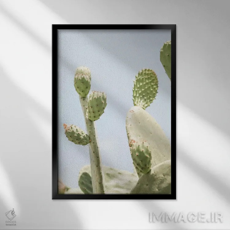 تابلو دکوراتیو کاکتوس V اثر گریس دیجیتال آرت کو - نمای قابدار مشکی