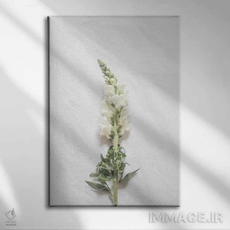 تابلو مینیمال گل سفید مینیمال اثر گریس دیجیتال آرت کو - نمای روبهرو روی دیوار