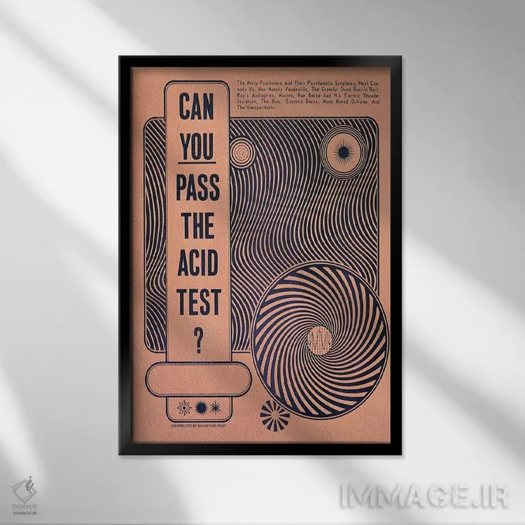 تابلو دکوراتیو آزمایش اسید اثر رادیو دیز - نمای قابدار مشکی