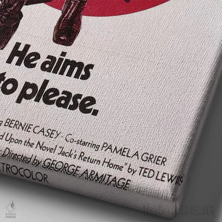 تابلو دکوراتیو پوستر فیلم هیت من اثر رادیو دیز - نمای نزدیک بافت بوم