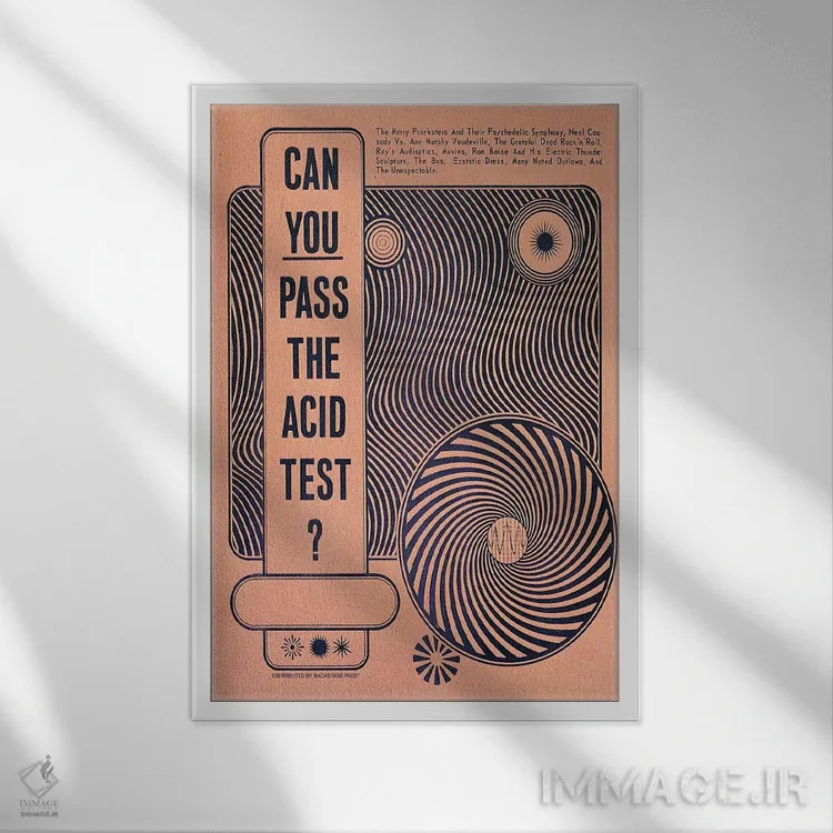 تابلو دکوراتیو آزمایش اسید اثر رادیو دیز - نمای قابدار سفید