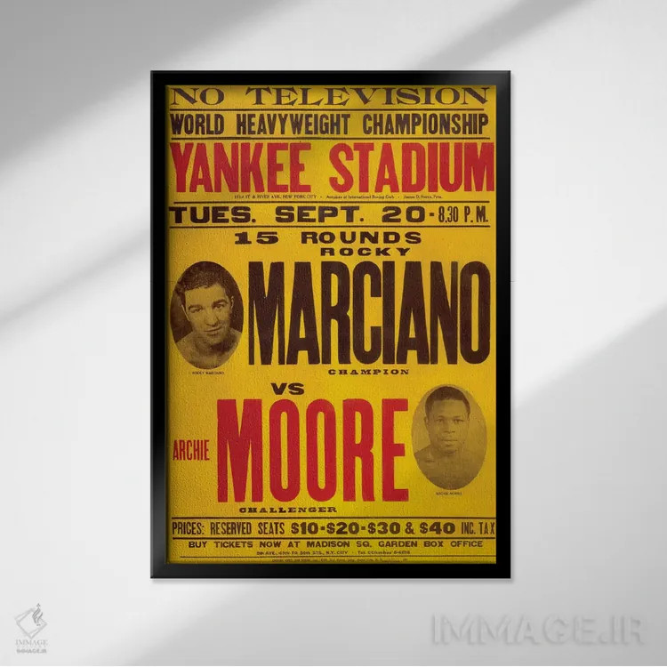 تابلو دکوراتیو مارسیانو مقابل مور اثر رادیو دیز - نمای قابدار مشکی