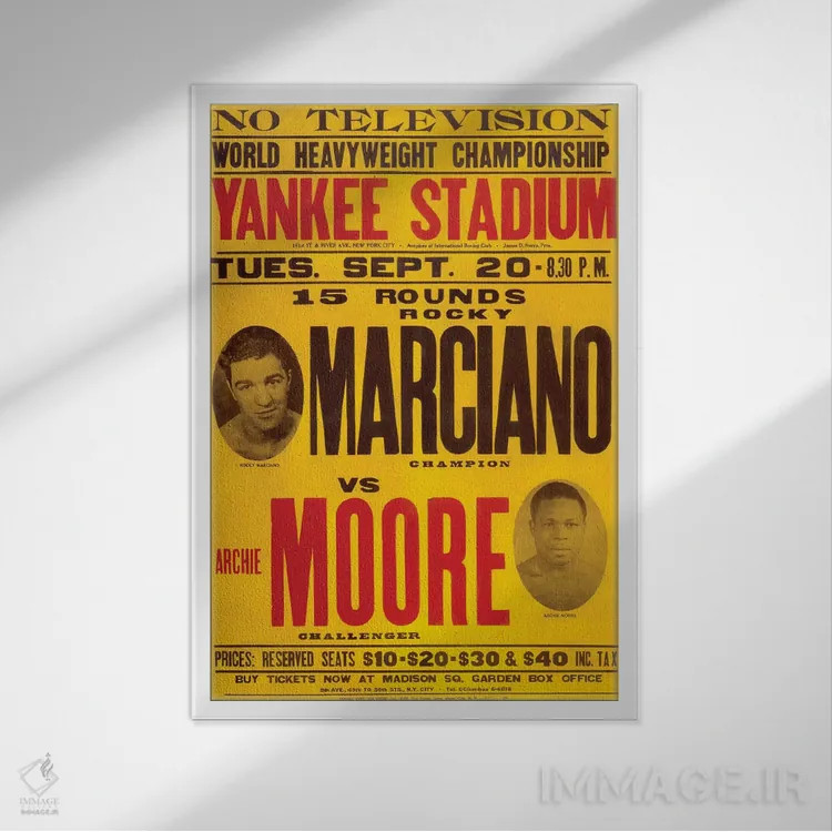 تابلو دکوراتیو مارسیانو مقابل مور اثر رادیو دیز - نمای قابدار سفید