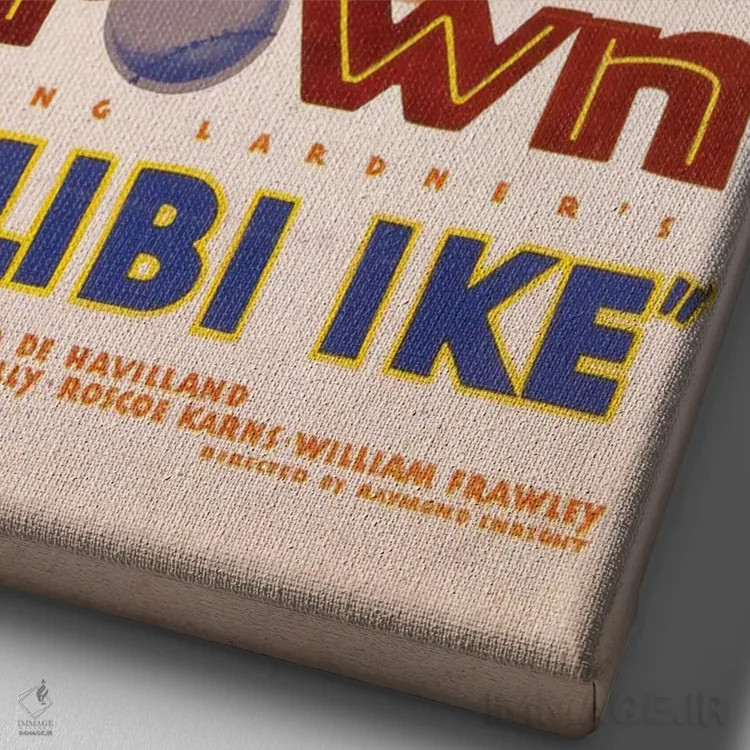 تابلو دکوراتیو علیبی آیک اثر رادیو دیز - نمای نزدیک بافت بوم