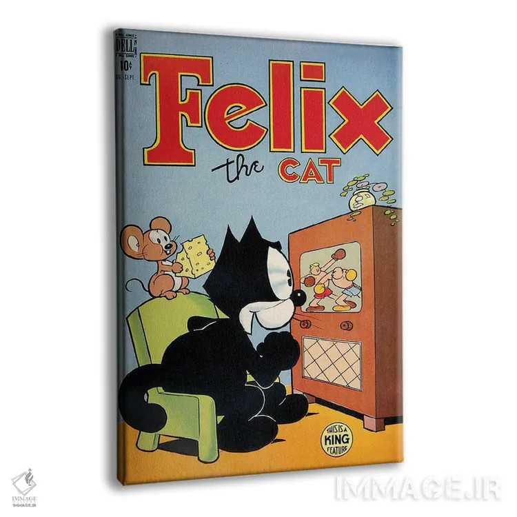 تابلو دکوراتیو فلیکس در حال لذت از بوکس اثر رادیو دیز - نمای پرسپکتیو محصول