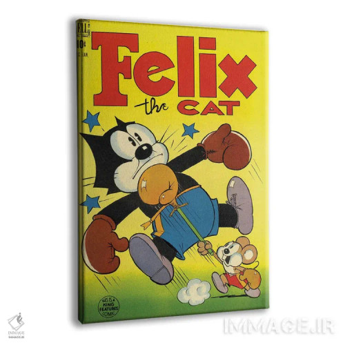 تابلو دکوراتیو فلیکس؛ مشت به صورت اثر رادیو دیز - نمای پرسپکتیو محصول