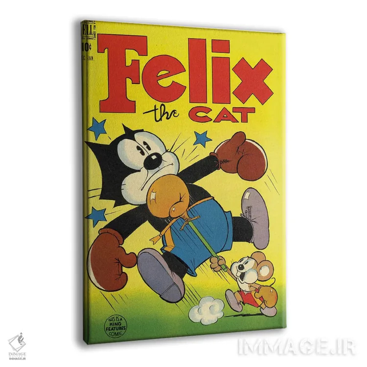 تابلو دکوراتیو فلیکس؛ مشت به صورت اثر رادیو دیز - نمای پرسپکتیو محصول