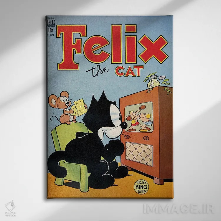 تابلو دکوراتیو فلیکس در حال لذت از بوکس اثر رادیو دیز - نمای روبهرو روی دیوار