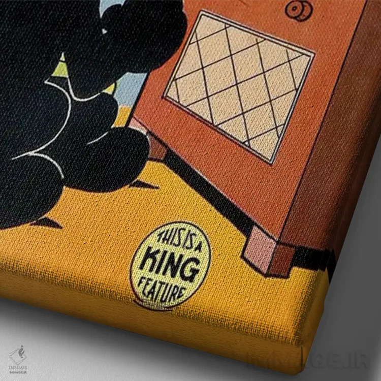 تابلو دکوراتیو فلیکس در حال لذت از بوکس اثر رادیو دیز - نمای نزدیک بافت بوم