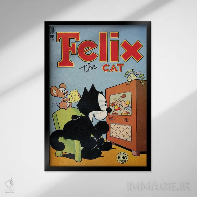 تابلو دکوراتیو فلیکس در حال لذت از بوکس اثر رادیو دیز - نمای قابدار مشکی