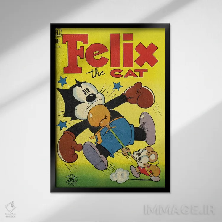 تابلو دکوراتیو فلیکس؛ مشت به صورت اثر رادیو دیز - نمای قابدار مشکی