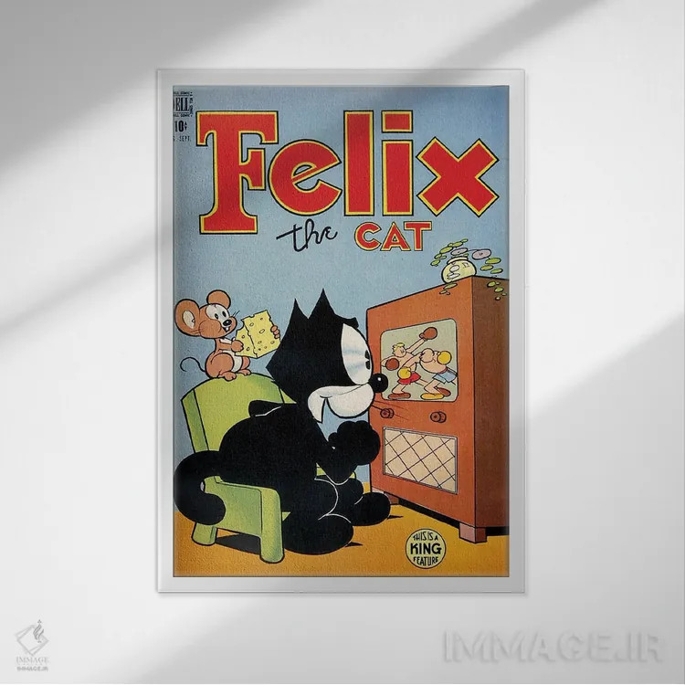 تابلو دکوراتیو فلیکس در حال لذت از بوکس اثر رادیو دیز - نمای قابدار سفید