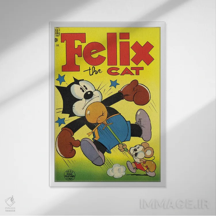 تابلو دکوراتیو فلیکس؛ مشت به صورت اثر رادیو دیز - نمای قابدار سفید