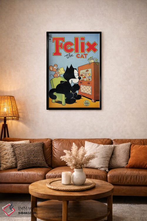 تابلو دکوراتیو فلیکس در حال لذت از بوکس اثر رادیو دیز - D3B