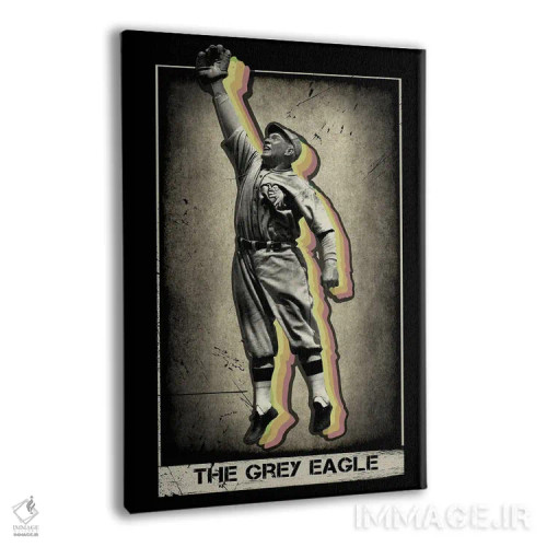 تابلو دکوراتیو عقاب خاکستری اثر رادیو دیز - نمای پرسپکتیو محصول