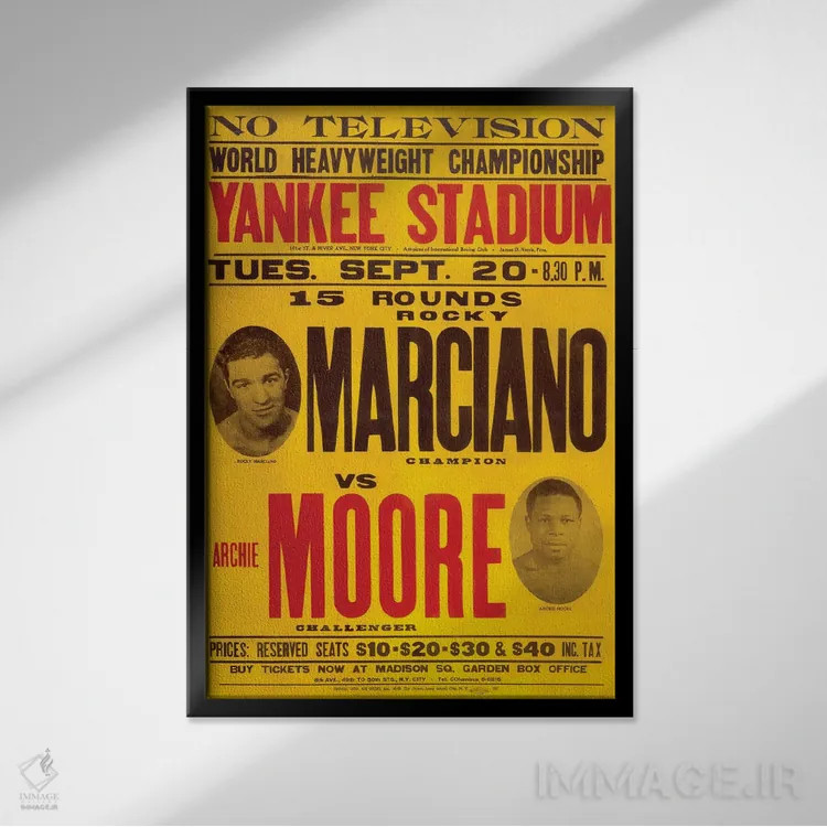 تابلو دکوراتیو مارسیانووز مور اثر رادیو دیز - نمای قابدار مشکی