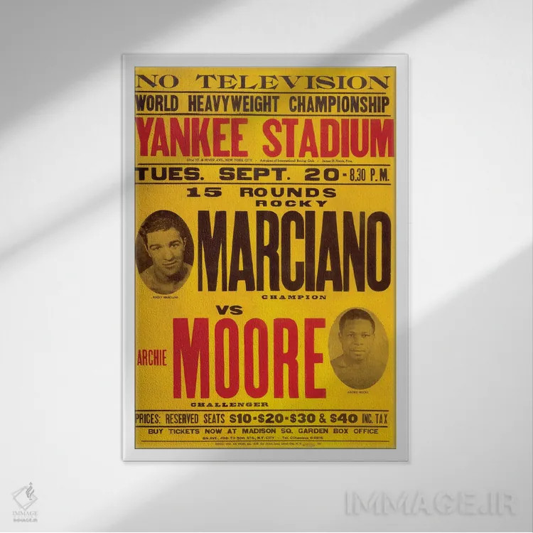 تابلو دکوراتیو مارسیانووز مور اثر رادیو دیز - نمای قابدار سفید