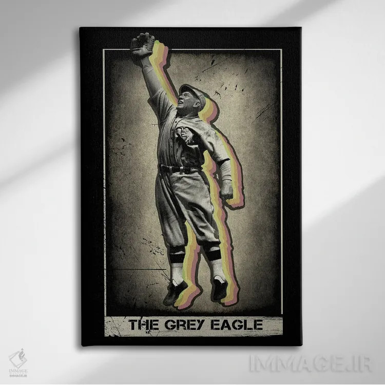 تابلو دکوراتیو عقاب خاکستری اثر رادیو دیز - نمای روبهرو روی دیوار