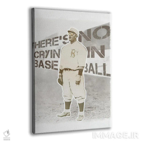 تابلو دکوراتیو گریه ای در بیسبال نیست اثر رادیو دیز - نمای پرسپکتیو محصول