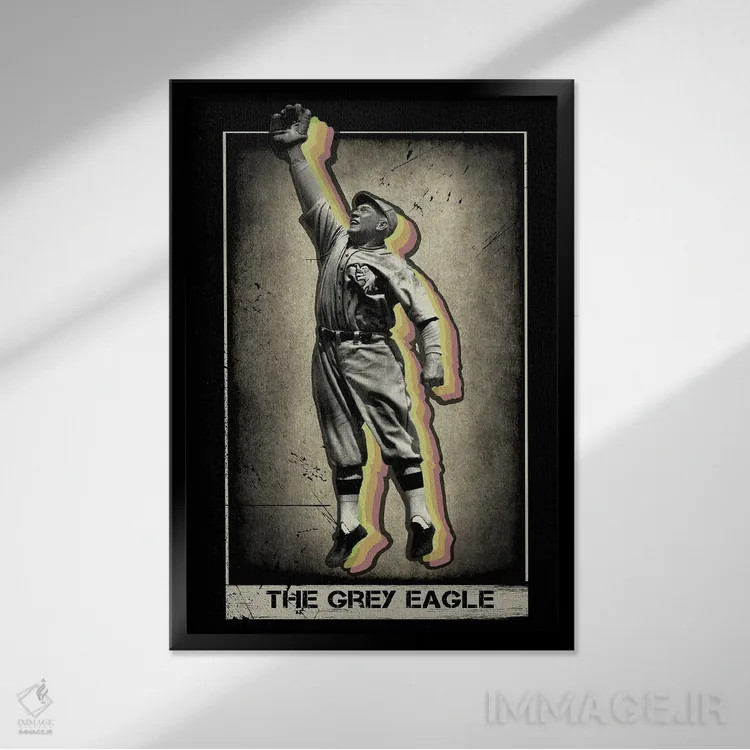 تابلو دکوراتیو عقاب خاکستری اثر رادیو دیز - نمای قابدار مشکی