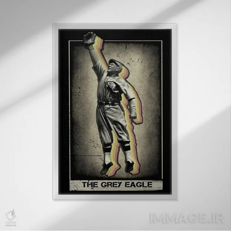 تابلو دکوراتیو عقاب خاکستری اثر رادیو دیز - نمای قابدار سفید
