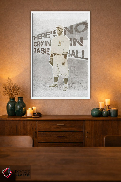 تابلو دکوراتیو گریه ای در بیسبال نیست اثر رادیو دیز - D1W