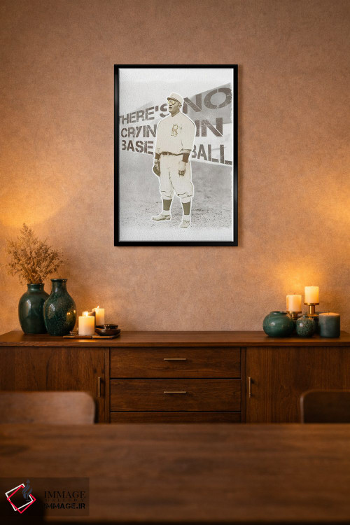 تابلو دکوراتیو گریه ای در بیسبال نیست اثر رادیو دیز - D2B