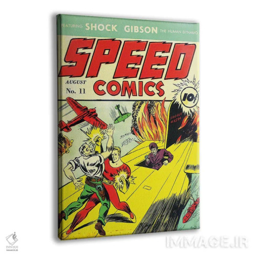 تابلو دکوراتیو سرعت ۱۱ اوت اثر رادیو دیز - نمای پرسپکتیو محصول