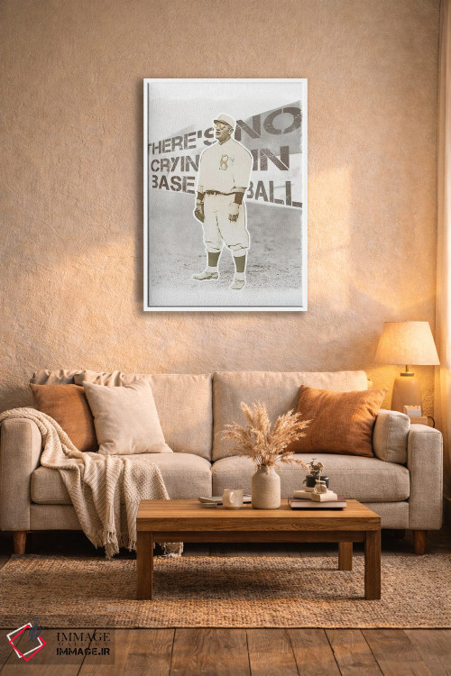 تابلو دکوراتیو گریه ای در بیسبال نیست اثر رادیو دیز - D4W