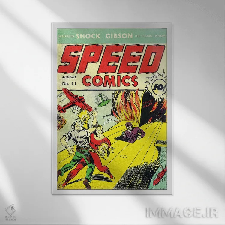 تابلو دکوراتیو سرعت ۱۱ اوت اثر رادیو دیز - نمای قابدار سفید