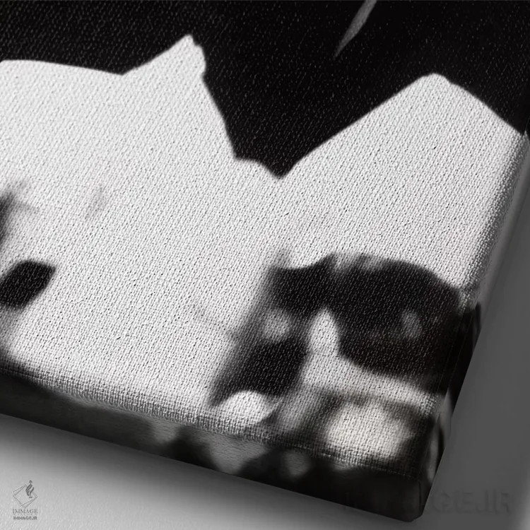 تابلو دکوراتیو آدری هپبورن خندان اثر رادیو دیز - نمای نزدیک بافت بوم