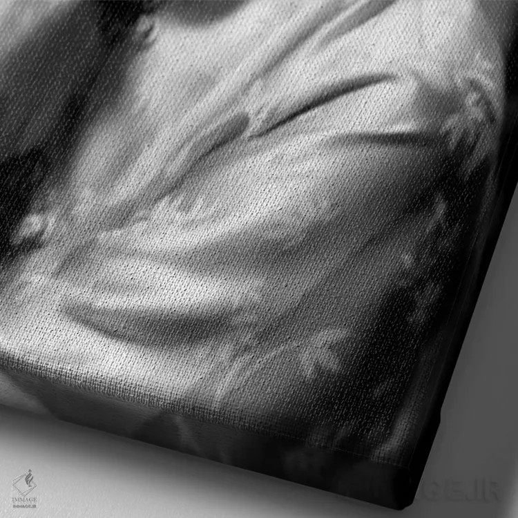 تابلو دکوراتیو گریس کلی با بلوز شرقی اثر رادیو دیز - نمای نزدیک بافت بوم