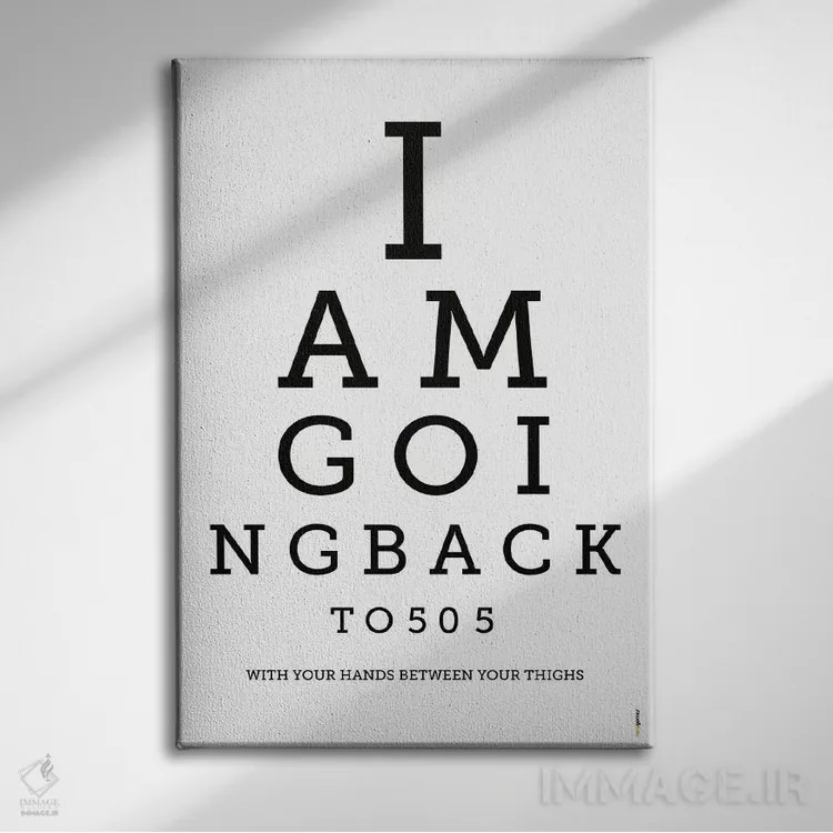 تابلو دکوراتیو برمی گردم به ۵۰۵ اثر رافائل گومز - نمای روبهرو روی دیوار