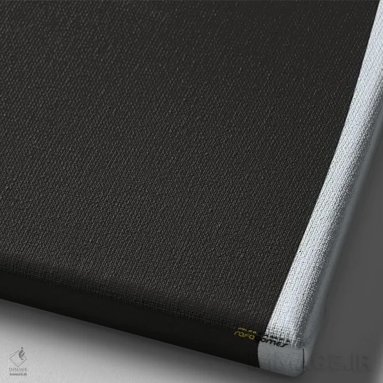 تابلو مینیمال پسر انسان اثر رافائل گومز - نمای نزدیک بافت بوم