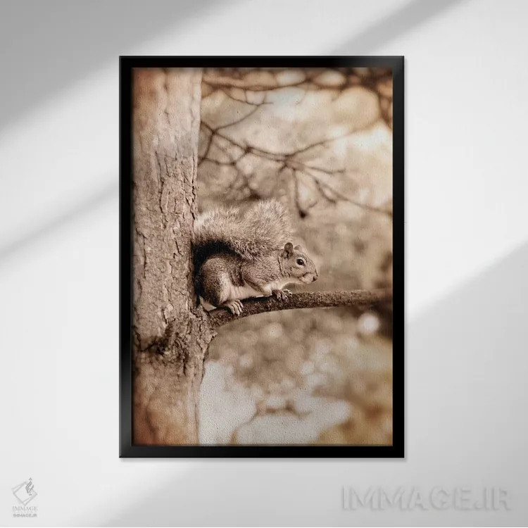تابلو دکوراتیو سنجاب اثر روس بریمن - نمای قابدار مشکی