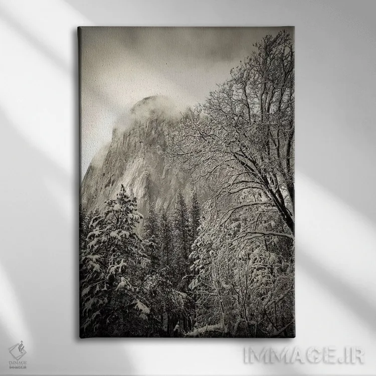 تابلو دکوراتیو Yosemite National Park, California, USA,ال کپیتان و بلوط سیاه… اثر راس بیشاپ - نمای روبهرو روی دیوار