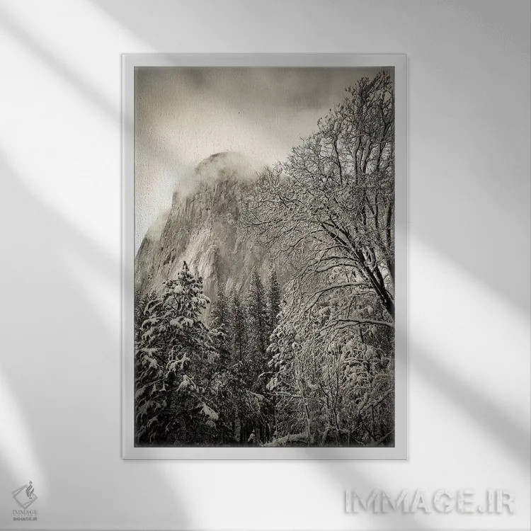 تابلو دکوراتیو Yosemite National Park, California, USA,ال کپیتان و بلوط سیاه… اثر راس بیشاپ - نمای قابدار سفید