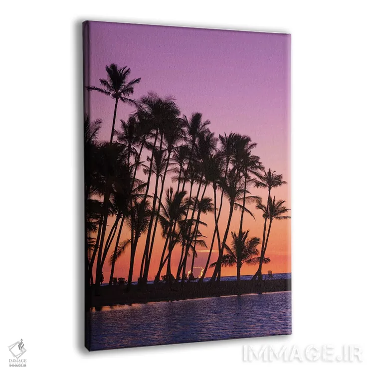 تابلو دکوراتیو Kohala Coast, Big Island, Hawaii, USA,غروب از میان نخل های سی… اثر راس بیشاپ - نمای پرسپکتیو محصول